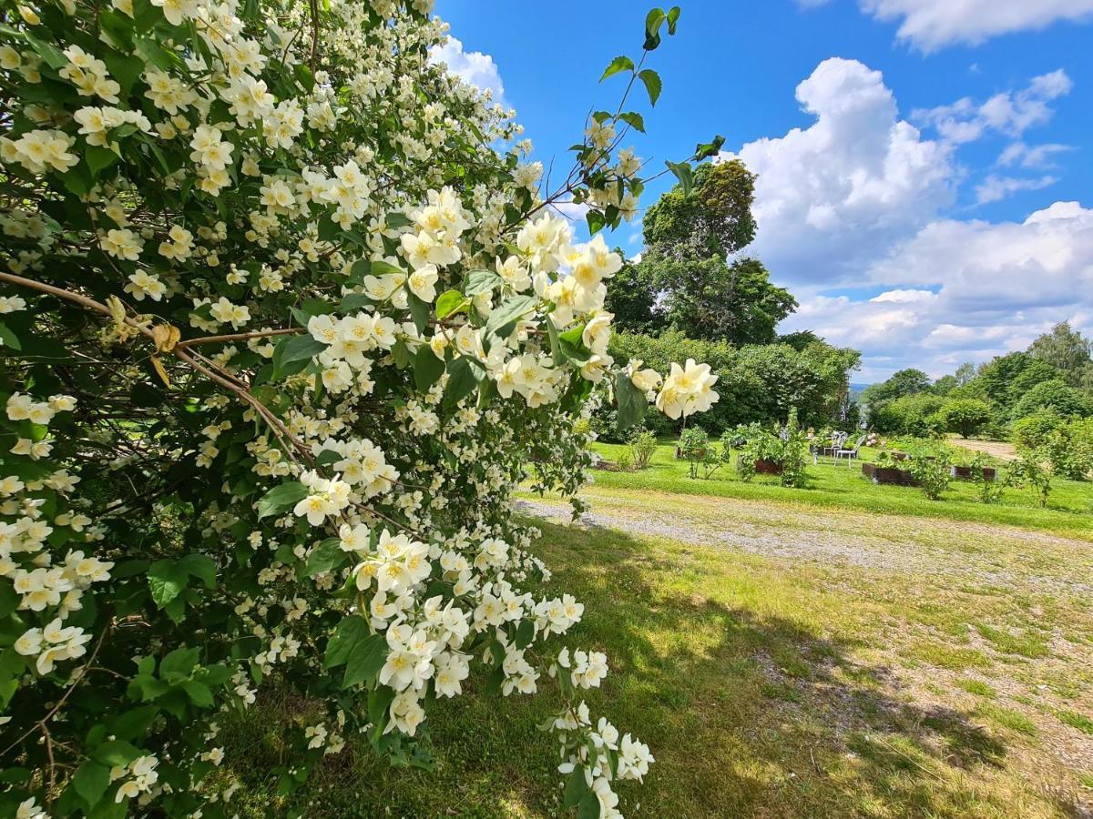 Risberg Herrgard Hagfors Ngoại thất bức ảnh